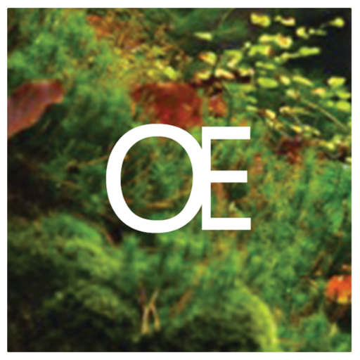 Oecologies: Inhabiting Premodern Worlds is a research cluster that explores the idea of “oecology,” an older spelling of the modern concept “ecology.”