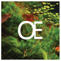 Oecologies (@oecologies) 's Twitter Profile