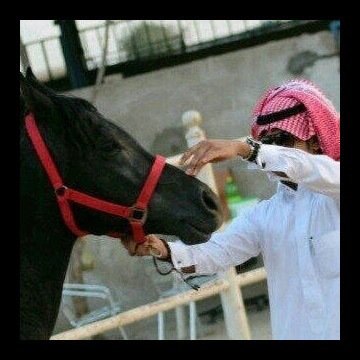 FALCON7116's profile picture. 