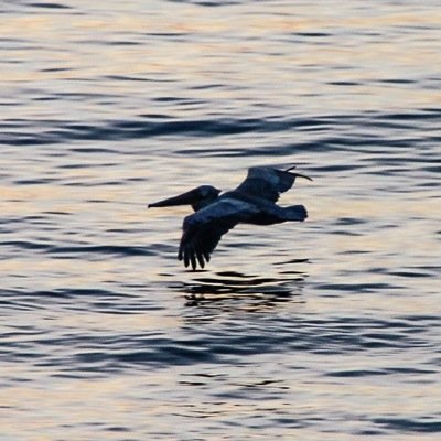 SallyDoherty's profile picture. I am a student of life, with a double major in mortgage lending and grandmothering and minoring in photography. Loving the life!