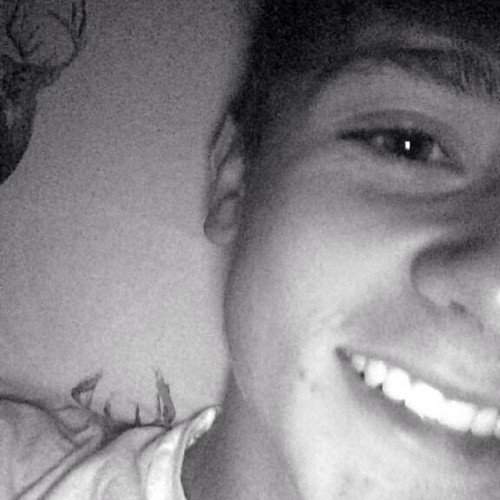 Many fandoms.... Dylan Dauzat||Jacob Whitesides b my main dish!! They slayyy!! K. I'm done