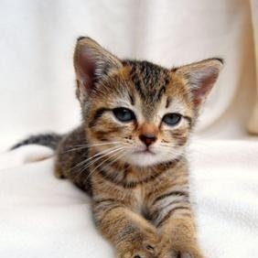 mttk0110's profile picture. 