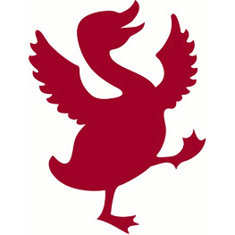 duck_here's profile picture. Quack-quack.