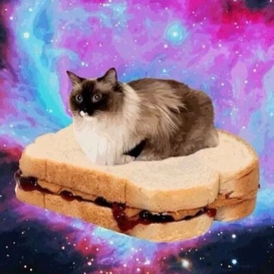 thepinkelf Profile Picture