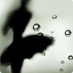 hkfires's profile picture. 