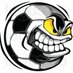 Branson Soccer Media (@bransnsocrmedia) Twitter profile photo