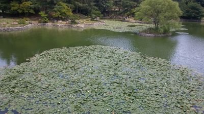 자유인