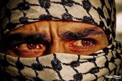 saloomi10's profile picture. 