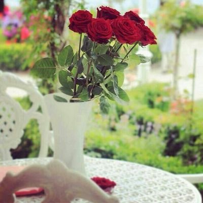 حسبي الله ونعم الوكيل                                                       تابعني/أتابعك