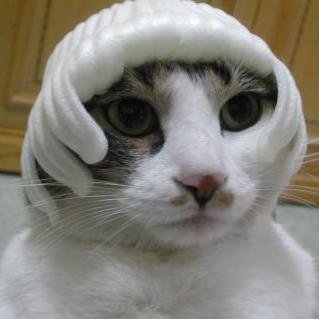 bkangel97's profile picture. 