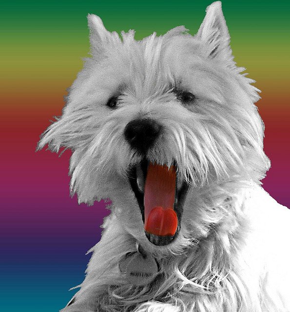 LadoStyle's profile picture. Life could be Stylish.