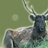 padmak1962's profile image