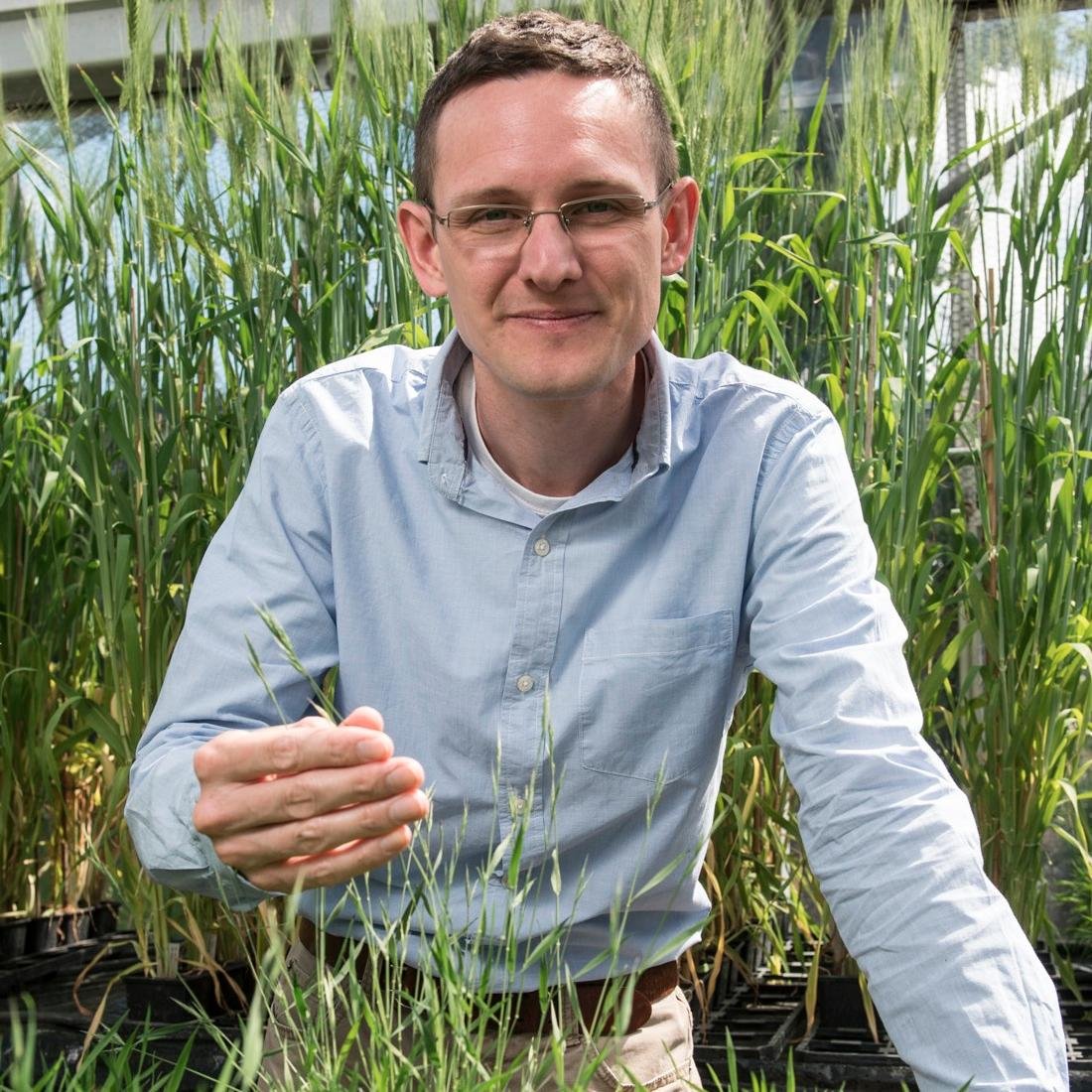 Scientist studying grass-cereal rust evolution. I have a blossoming love of all Poales. Views are my own. He/Him