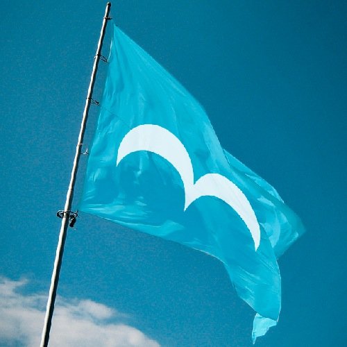 Un drapeau Libre pour sauver l'humanité. ⋎⋎⋎⋎⋎⋎⋎⋎⋎⋎⋎⋎⋎⋎⋎⋎⋎⋎⋎⋎⋎⋎⋎⋎⋎⋎⋎⋎⋎
------- Ambassade Libre du Futur --------