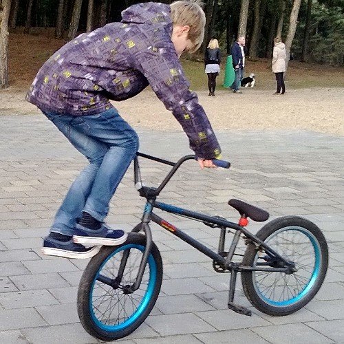 jobvdhazel's profile picture. 