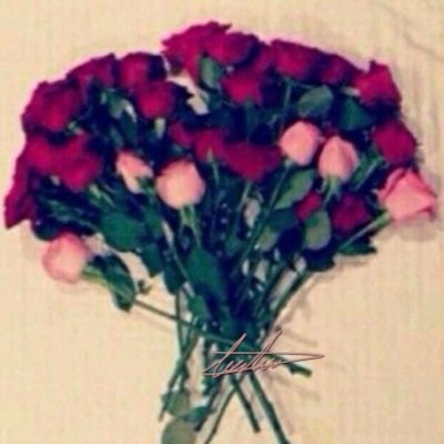 1234_algarni's profile picture. ❤️