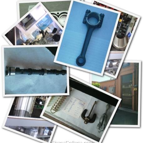 DITTACHIARIGIAN's profile picture. DITTA CHIARI GIANCARLO VIA PIER CAPPONI 12 CIVITANOVA MARCHE