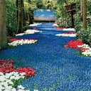 Eshal Ali - @EshalAli1 - Twitter