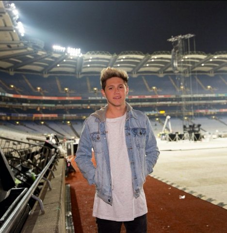 NiiallOfficiia's profile picture. i like climbing trees! NOW! KETCHUP   Mullingar,Westneath,Ireland http://t.co/edV1QxuDIF