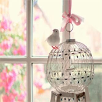 amal5273's profile picture. ‏‏‏‏‏‏اللهم ارزقنی حبک وحب من يحبک ...