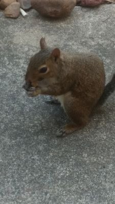 Liquid_Poet's profile picture. He who makes a beast of himself gets rid of the pain of being a man