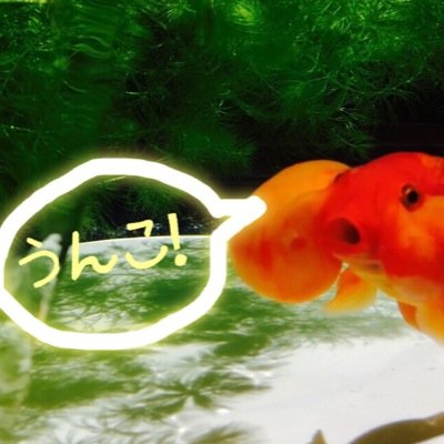 髪のばすことに集中