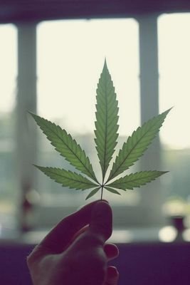fuma weed / 4 fumadoras de marihuana. Mentes abiertas. Con suabidad dejandonos llevar #fumaweed. Prende lo verde. (PO)RR(ETAS). /