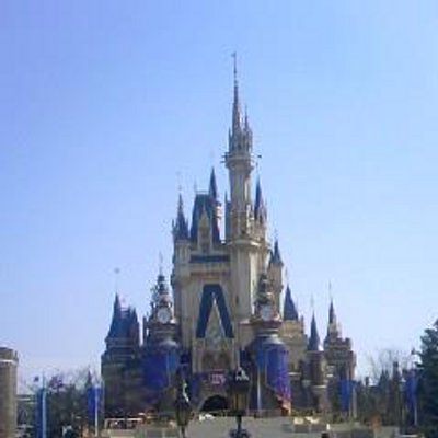 ディズニーの噂 シンデレラ城の玉座でプロポーズしてる人がいて感動した 薔薇の花束と小さなガラスの靴を渡された彼女さんびっくりして泣いてた Http T Co Xx5ywktpai