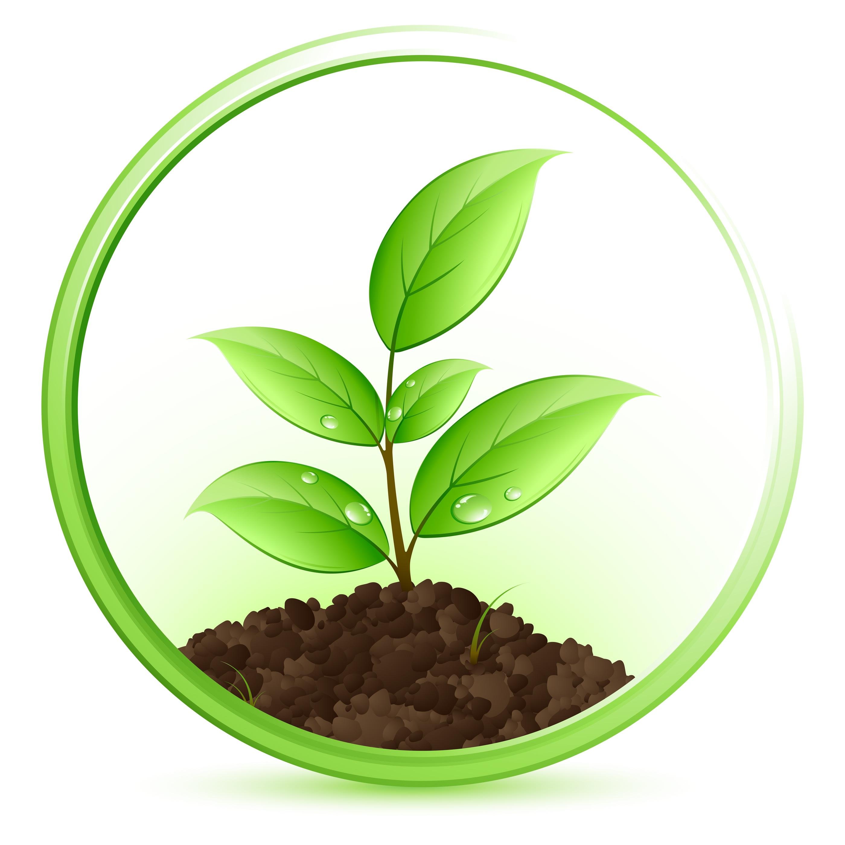 The Landscape Answerman is your source for Landscaping & Gardening in the Texas Hill Country and Brazos Valley. Est 8-25-14