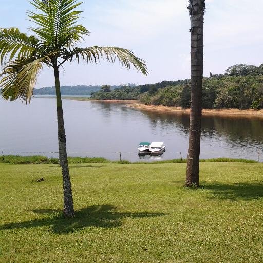 #Sigo todos de volta#