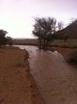 شاعر