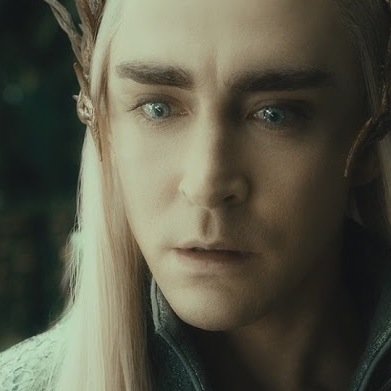 Great King of Mirkwood. Proud of it. Only son of Oropher and father of Legolas.|RP|DM|FollowBack|FollowForFollow|