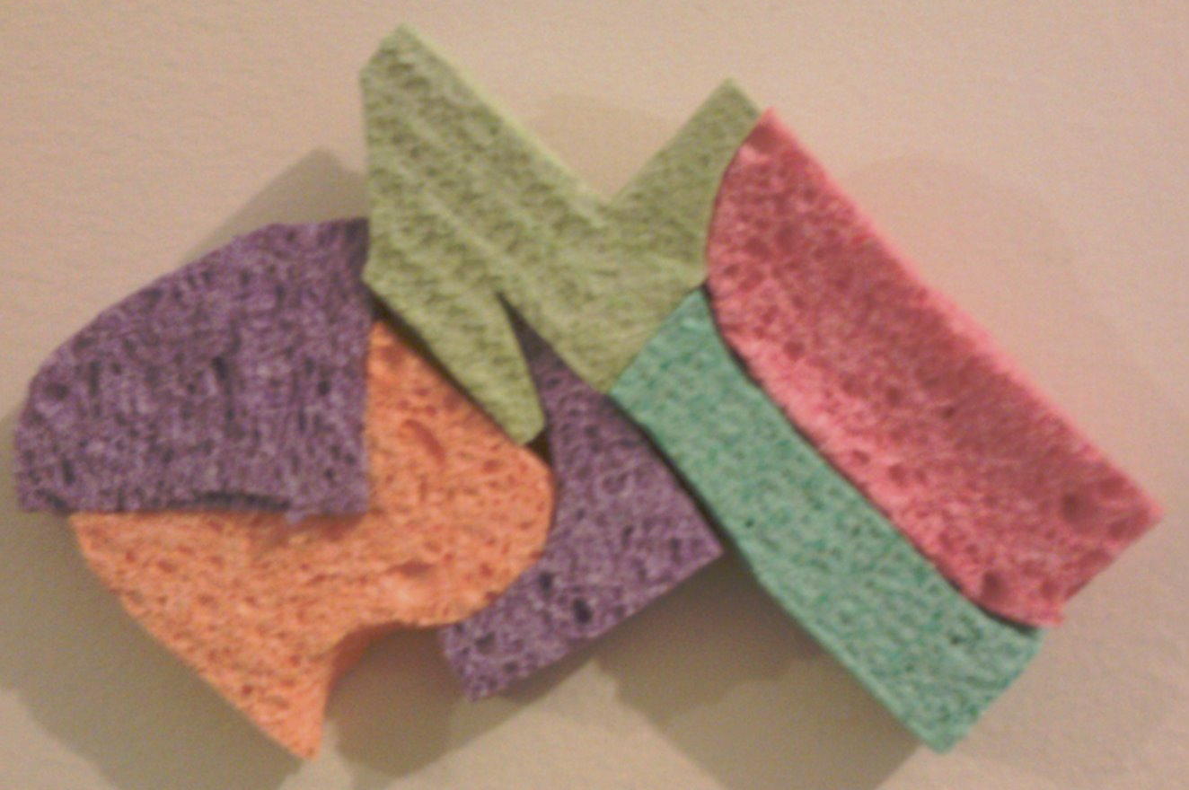 zponge's profile picture. 