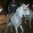 victorromo2's profile image