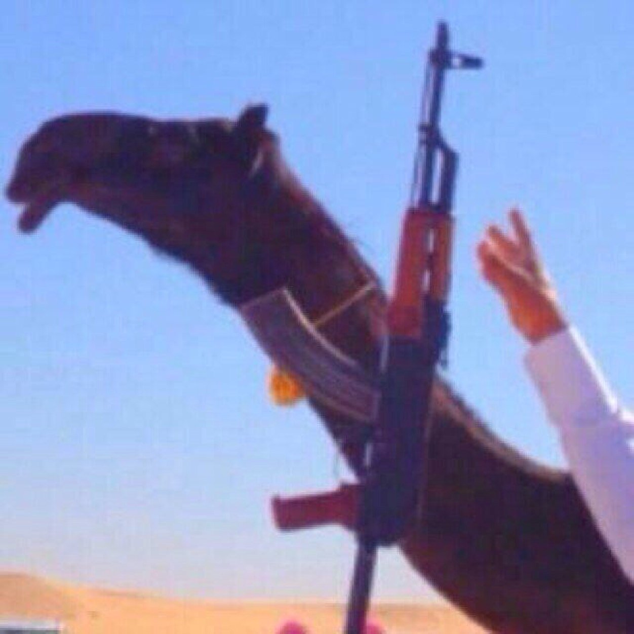 من قال انا خيار الملا ربحه العناء،،ومن قال انا ضيم الرجال يضام