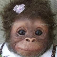 linoymonkey's profile picture. http://t.co/fnOQpsFKtB