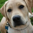 Lucy Worthington - @LucyWorthBrown - Twitter