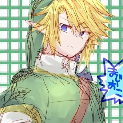 Who knew a farmboy like me would turn out to be the Hero of Hyrule? I'll protect those I care about most, and I pledge full loyalty to this kingdom.