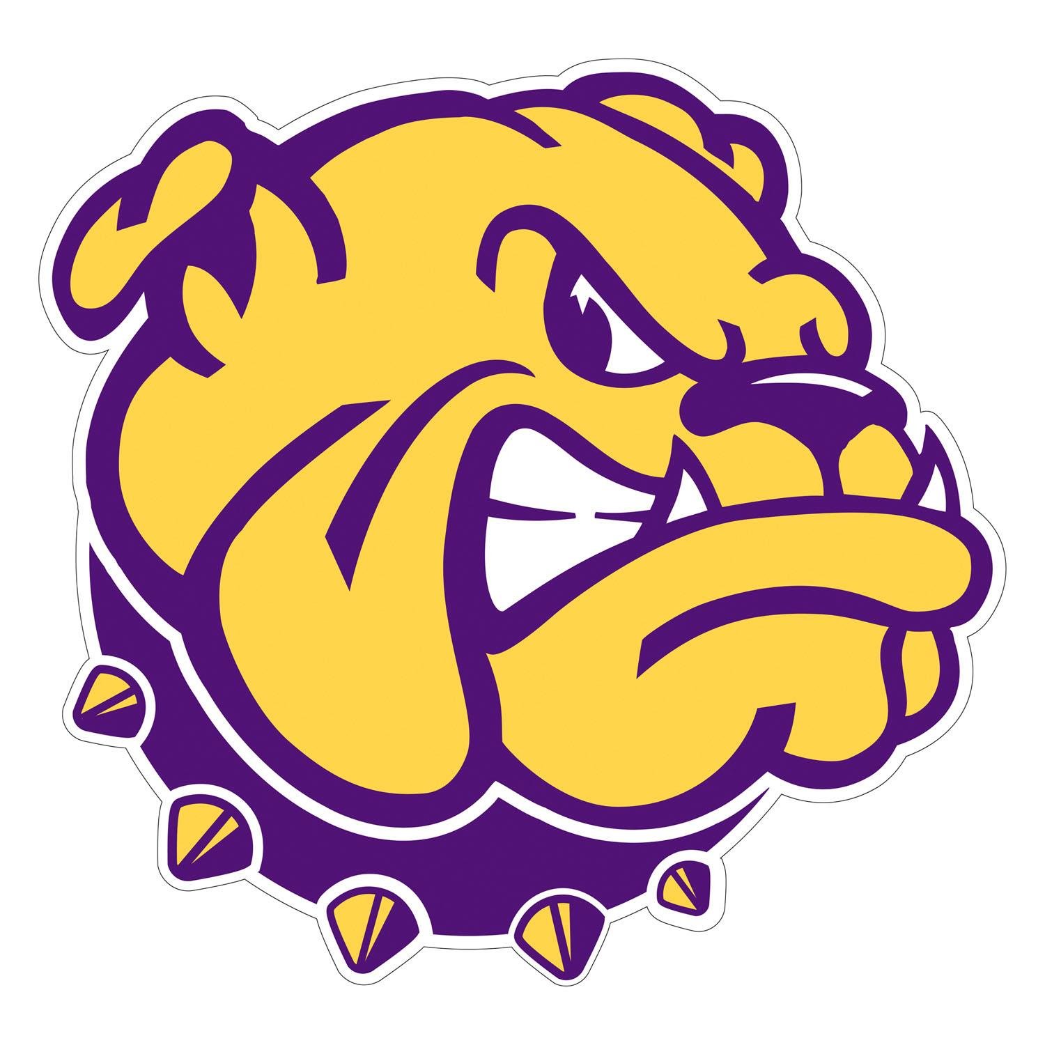 The First Year Experience program at Western Illinois University aims at connecting first year students to campus in a healthy and productive manner.