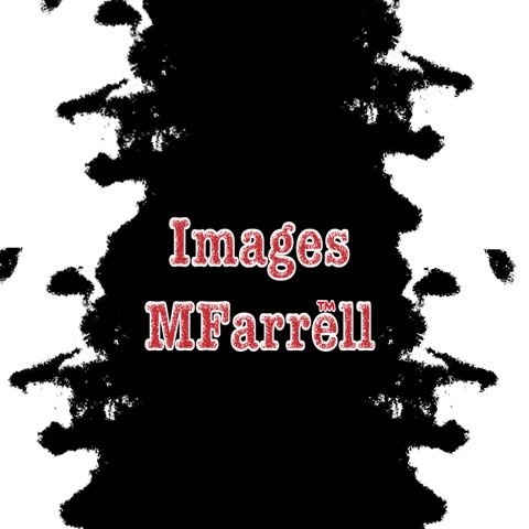 Photographer who enjoys the language of the body and its beauty — peaks and valleys— its sloping lines and earthy tones ––its rhythm!