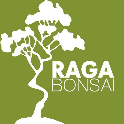 ragabonsai's profile picture. http://t.co/VWhh1DhX8m tenemos la pasión de promocionar el arte del bonsai en latinoamerica
