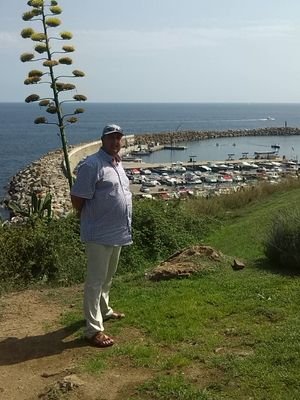 chahdi00's profile picture. 