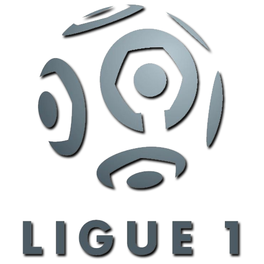 Toute l'actualité sur le championnat de France de Ligue 1.