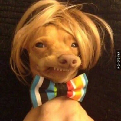 stateofmanda's profile picture. chi lover and Vegas