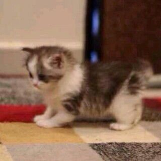 *

و إن بغيت الحال ؟ رتبته في شطر ،
اشتقت لك يَ شيء م يشبهه شي ..♡
