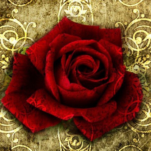 jeanmas88310263's profile picture. 