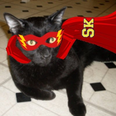 FlyingCatGamer's profile picture. Wut up its flyingcatgamer i started twitter for some hilarious photos of me also starting Youtube tho so Subscribe to: flyingcatgamer no really ok sub tho