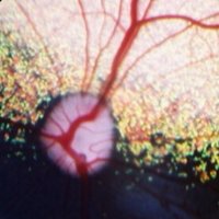 Alistair Oldfield (@ali_oldfield) 's Twitter Profile