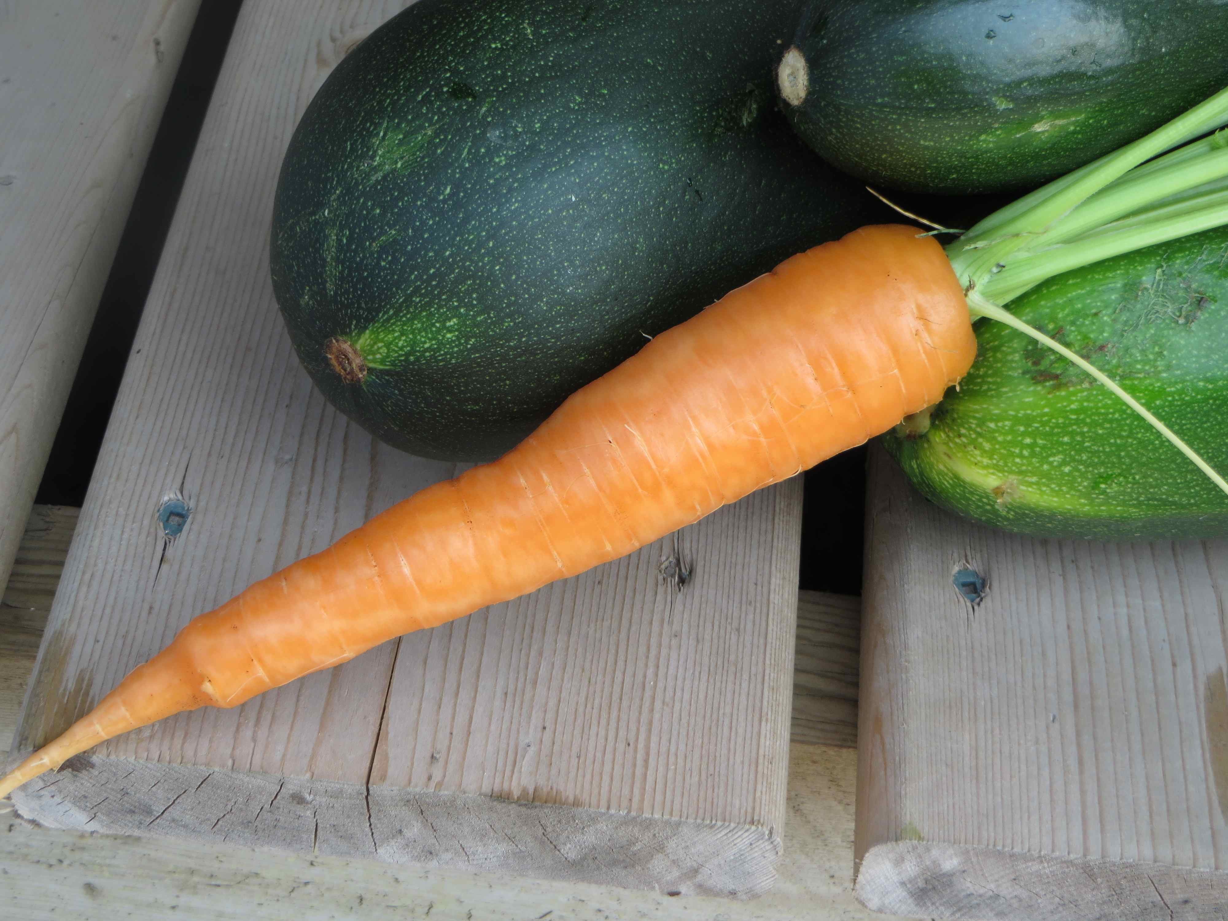 eatlocalKtown's profile picture. celebrating, promoting, and advocating for local food in Kingston and the surrounding area!