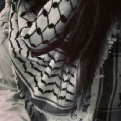 Memo_MK02 Profile Picture